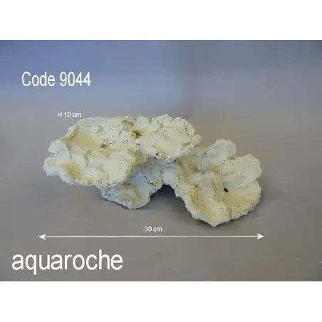 Aquaroche Aquaroche pont corallien Aquaroche