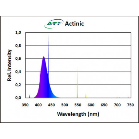T5 ATI Actinic 24w