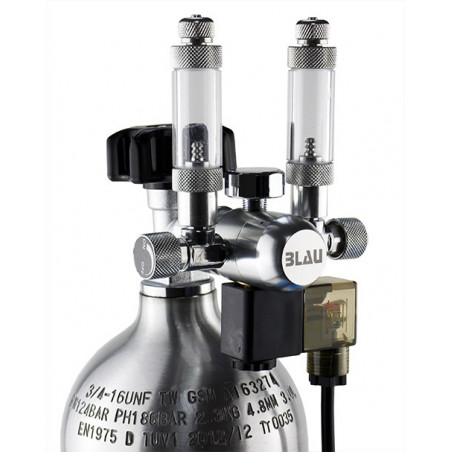 Dual compact regulator with electronic valve and bubble counter
