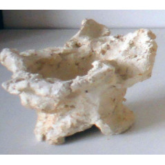 Aquaroche Aquaroche nid Aquaroche