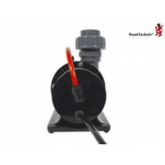 Royal Exclusiv Red Dragon 3 Speedy 150 Watt / 18,0m³ + 10v Return pump
