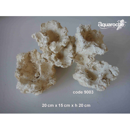 Aquaroche Mini base récifale Aquaroche
