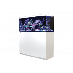 Red Sea Reefer 350 G2