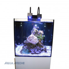 Aqua Medic Nano récifal complet Cubicus CF Qube Aquarium équipé