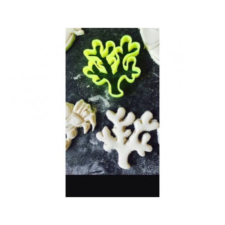 Cookie cutter coral
