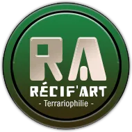 Recif'Art