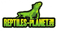 Reptiles Planet
