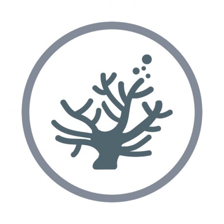 Image non disponible