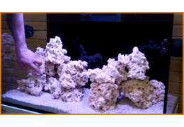 Importance of Decor in a Reef Aquarium