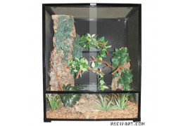 Choosing a Chameleon Terrarium