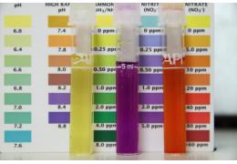 Complete Guide to Maintaining Water Parameters in a Reef Aquarium