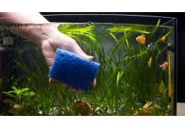 Kaip išlaikyti savo akvariumą