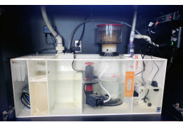 Guide de la décantation d'un aquarium récifal