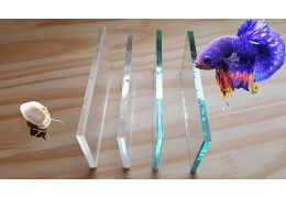Les Différents Types de Verre pour un Aquarium