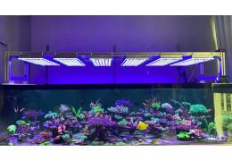 Rampe LED Aquarium Orphek - Guide Complet